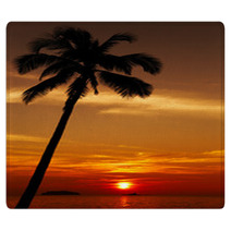 Palm Tree Silhouette At Sunset, Chang Island, Thailand Rugs 70237827