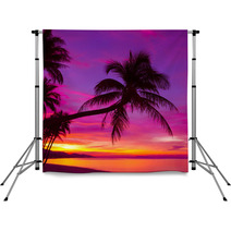 Palm Tree Silhouette At Sunset On Tropical Beach Backdrops 63423132