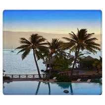 Palm Trees And A Sunset Over The Sea .. Rugs 67363686