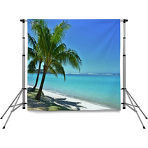 Palm Trees And The Beach Backdrops 65013540