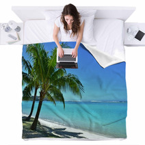 Palm Trees And The Beach Blankets 65013540
