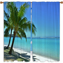 Palm Trees And The Beach Window Curtains 65013540