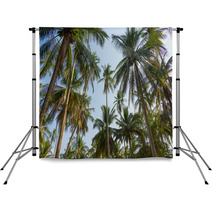Palm Trees Backdrops 64794490