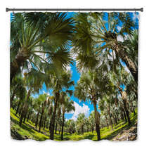 Palm Trees Bath Decor 61382881