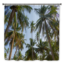 Palm Trees Bath Decor 64794490