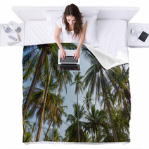 Palm Trees Blankets 64794490