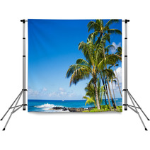 Palm Trees By The Ocean Backdrops 53754908
