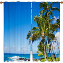 Palm Trees By The Ocean Window Curtains 53754908