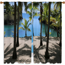 Palm Trees In Fiji Window Curtains 67842782
