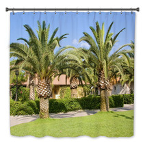 Palm Trees In The Countryside Bath Decor 55298264