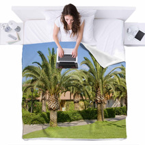 Palm Trees In The Countryside Blankets 55298264