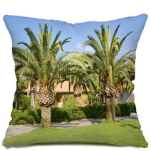 Palm Trees In The Countryside Pillows 55298264
