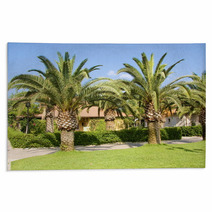 Palm Trees In The Countryside Rugs 55298264
