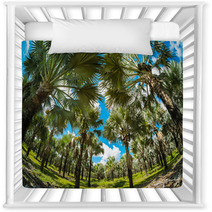 Palm Trees Nursery Decor 61382881