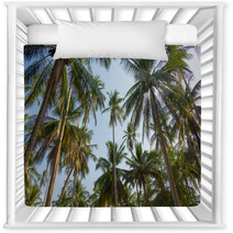 Palm Trees Nursery Decor 64794490