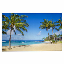 Palm Trees On The Sandy Beach In Hawaii Rugs 53431750