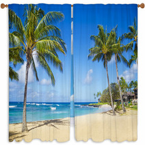 Palm Trees On The Sandy Beach In Hawaii Window Curtains 53431750