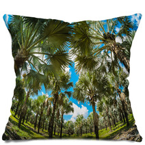Palm Trees Pillows 61382881
