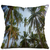 Palm Trees Pillows 64794490