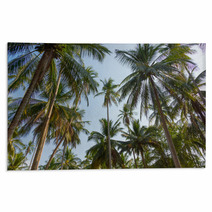 Palm Trees Rugs 64794490