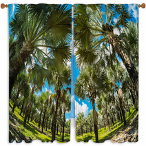 Palm Trees Window Curtains 61382881