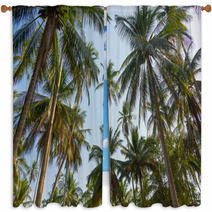 Palm Trees Window Curtains 64794490