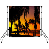 Palms Silhouettes On A Tropical Beach At Sunset Backdrops 53244152