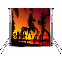 Palms Silhouettes On A Tropical Beach At Sunset Backdrops 56361423