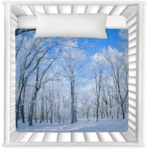 Panorama Of The Winter Forest Nursery Decor 61156453