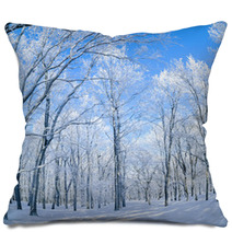 Panorama Of The Winter Forest Pillows 61156453