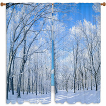 Panorama Of The Winter Forest Window Curtains 61156453