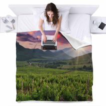 Panorama Of Vineyards Blankets 60400615