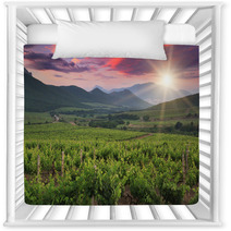 Panorama Of Vineyards Nursery Decor 60400615