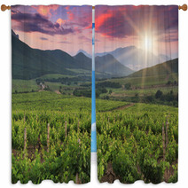 Panorama Of Vineyards Window Curtains 60400615