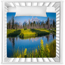 Parco Naturale Grand Teton Dallo Snake River Nursery Decor 46254426