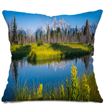 Parco Naturale Grand Teton Dallo Snake River Pillows 46254426