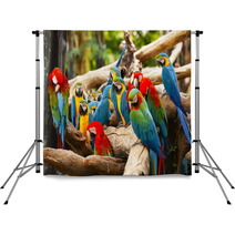 Parrot Backdrops 52853621