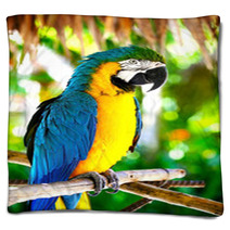 Parrot Blankets 43815405