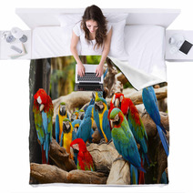Parrot Blankets 52853621