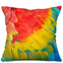 Parrot Feathers, Exotic Texture Pillows 59019365