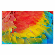 Parrot Feathers, Exotic Texture Rugs 59019365