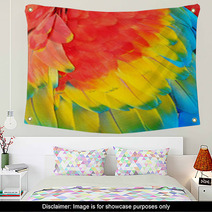 Parrot Feathers, Exotic Texture Wall Art 59019365