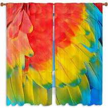 Parrot Feathers, Exotic Texture Window Curtains 59019365