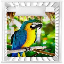 Parrot Nursery Decor 43815405