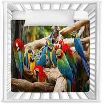 Parrot Nursery Decor 52853621