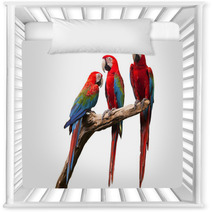 Parrot Nursery Decor 52853756