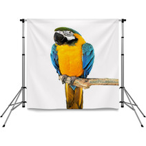 Parrot On A Branch Backdrops 72462910