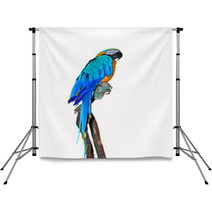 Parrot On A Branch Backdrops 72466555
