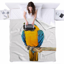 Parrot On A Branch Blankets 72462910