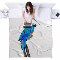 Parrot On A Branch Blankets 72466555